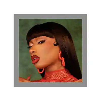 Picture for song 'MEGAN THEE STALLION TYPE BEAT - SLIPPIN - PLUTO' by artist 'plutoo'