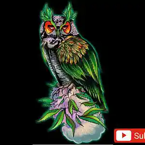 Picture for song 'Owl - Hard Freestyle Old School Boom Bap Beat' by artist 'Rojoz'