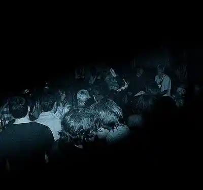 Picture for song 'Carpe Diem' by artist 'alcoholidays'