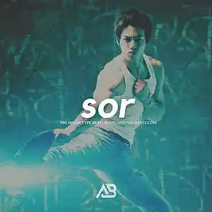 Picture for song '(FREE) SOR (90s House Type Beat)' by artist 'Arsenial Beats'