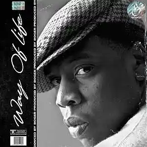 Picture for song 'Way Of Life (Jay Z Type Beat)' by artist 'BOGER'