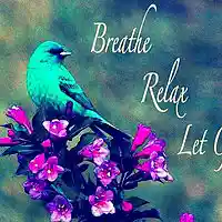 Picture for song 'Salt water' by artist 'Concensusdown'