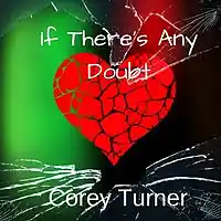 Picture for song 'If theres any doubt' by artist 'Bail Bottums'