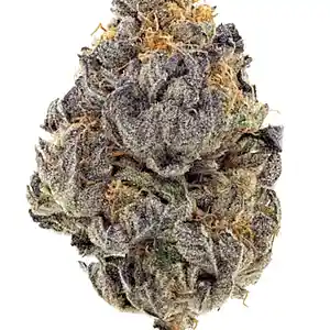 Picture for song 'I Smoked Blue Cookies - Th!sDa1' by artist 'Initial Music Group'
