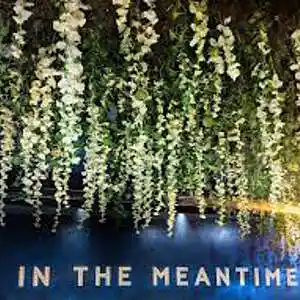 Picture for song 'And in the Mean Time' by artist 'Keith Mitchell'