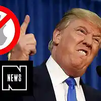 Picture for song '*TRAP* Trump Says (Free DL)' by artist 'Paperfall Bros'
