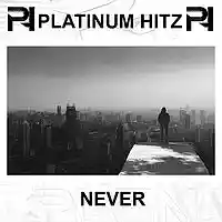Picture for song '*NEW* Never (Buy 1 Get 2 Free)' by artist 'Platinum Hitz'