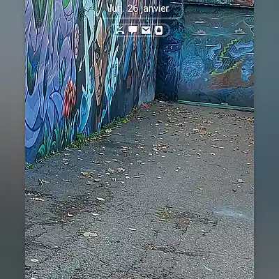 Picture for song 'SG Rap De Rue (Remix)' by artist 'SG stl city'