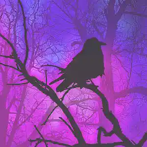 Picture for song 'CURSED' by artist 'Surce'