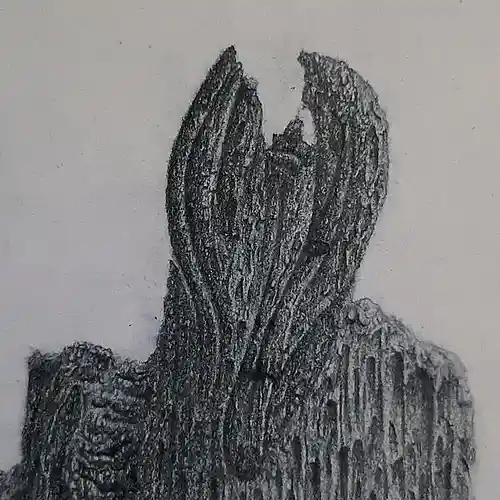 Artist picture