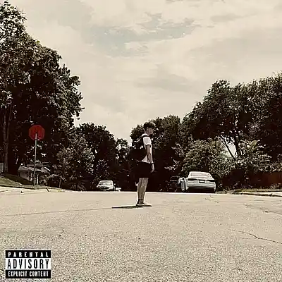 Picture for song 'Lollygag' by artist 'BoyLemon'
