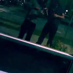 Picture for song 'NO PAIN- QuakedaBoi and Kev' by artist 'K.B.O.N.B.'