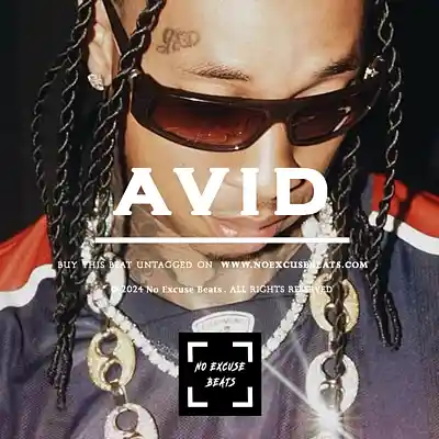 Picture for song 'Tyga "Avid" BUY 2 GET 1 FREE' by artist 'No Excuse Beats'