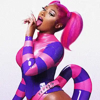 Picture for song 'Hit - Megan Thee Stallion type beat' by artist 'RICH MELLO'
