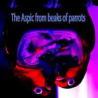 Picture for song 'The Aspic from beaks of parrots' by artist 'Stereo2tape'