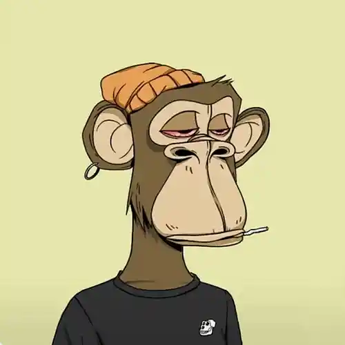 Artist picture
