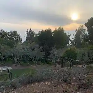 Picture for song '220304 Jamtrax Classical Guitar 77bpm key of Am' by artist 'John Matteson'