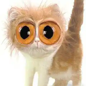 Picture for song 'Catscan' by artist 'ML's Lab'