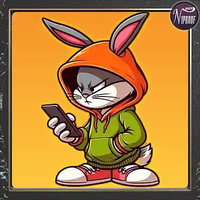 Picture for song 'Which way' by artist 'N1PROOF BEATS'