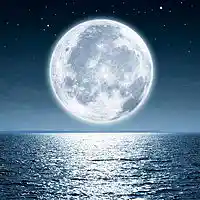 Picture for song 'Honey Moon and Full Moon at Noon' by artist 'Peter Kosta's Galaxy Rock Band'