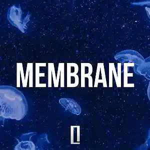 Picture for song 'Membrane Travis Scott Type Beat Hip Hop Instrume' by artist 'Quodis'