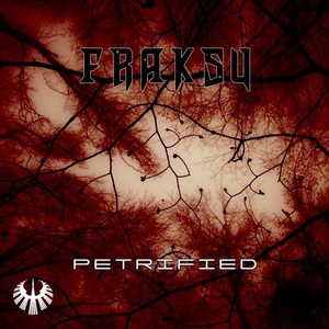 Picture for song 'Fraksu - Petrified' by artist 'Fraksu'