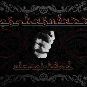 Picture for song 'Controverzz - fuck you3' by artist 'Unreachable Records'
