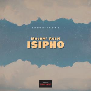 Picture for song 'Intro' by artist 'RosH'
