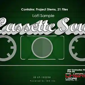 Picture for song 'Cassette Soul_Beat' by artist 'Bam Bam The Influence'
