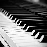 Picture for song 'Piano Etude No. 1 - Gomen'nasai' by artist 'Dollar Bill and the Unmentionables'