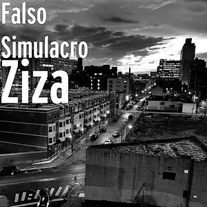 Picture for song 'Ziza' by artist 'Falso Simulacro'