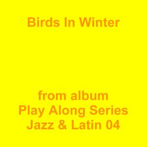 Picture for song 'Birds In Winter' by artist 'Jean-Marc Lozach'