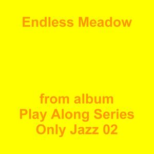 Picture for song 'Endless Meadow' by artist 'Jean-Marc Lozach'