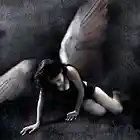 Picture for song 'Fallen Angel (Cirillo)' by artist 'Jimmy Cirillo (Cirillorized Productions)'