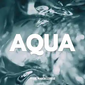 Picture for song 'Aqua' by artist 'MAKESZENSE'