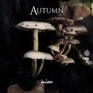 Picture for song 'Autumn (single mix)' by artist 'nion'