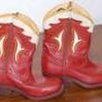 Picture for song 'Hopalong Cowgirl ' by artist 'Pete Gallatin'