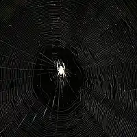 Picture for song 'Sunken' by artist 'pisshead blues band'