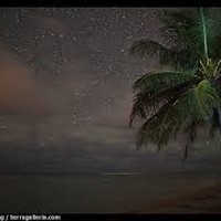 Picture for song 'I'll Weave a Lei of Stars for you' by artist 'Rex Reynolds'