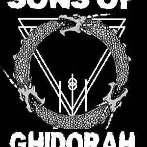 Picture for song '08/07/17 Sons of Ghidorah - Live' by artist 'Sons of Ghidorah'