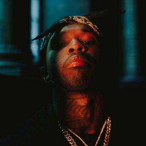 Picture for song '*NEW* North - (BUY 1 GET 3 FREE)' by artist 'The Wave Beats'