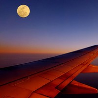 Picture for song 'Sunsets' by artist 'W4VE P4RTY'