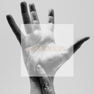 Picture for song 'FLUT3 TYP3 B34T - BUY THE COMPLETE' by artist 'WAT3RM3L0N'