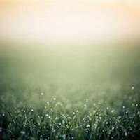 Picture for song 'ANY MEANS (PROD.whoDeany)' by artist 'whoDeanyBeatz'