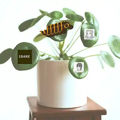 Picture for song 'ufffffo' by artist '1DANZ'
