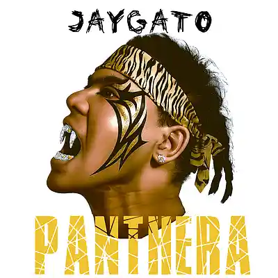 Picture for song 'HI 2 BABY' by artist 'JAYGATO'