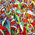 Picture for song 'D.E. 1 and 2 (instrumental)' by artist 'Jess Bottles'