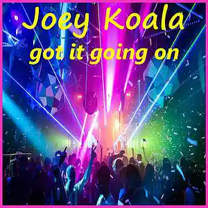 Picture for song 'Got It Going On' by artist 'Joey Koala'
