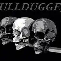 Picture for song 'Skullduggery ((Stereo))' by artist 'Johanna Renfro'