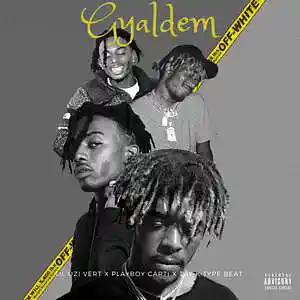 Picture for song 'Gyaldem' by artist 'Lithium Beats'